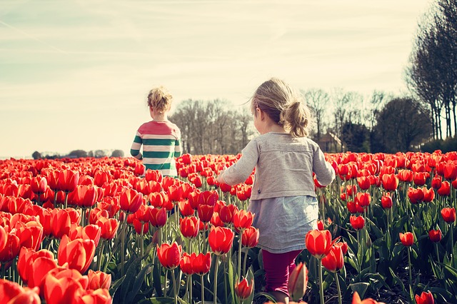 Děti mezi tulipány